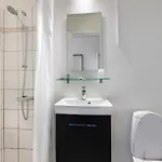 Dolphin Herning