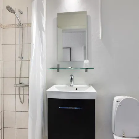 Dolphin Herning