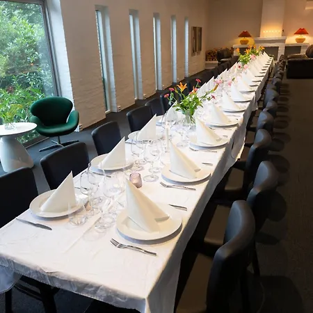 Dolphin Hotel Herning