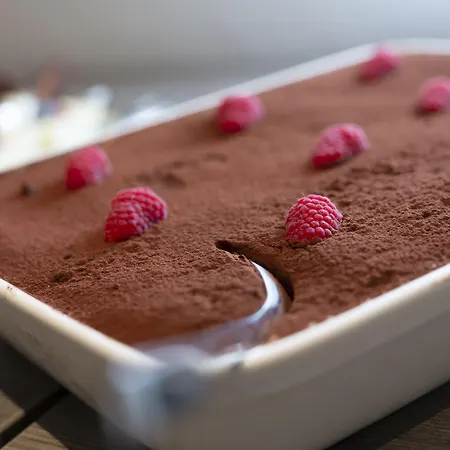 Dolphin Hotel Herning