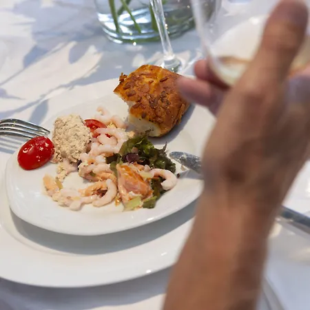 Hotel Dolphin Herning