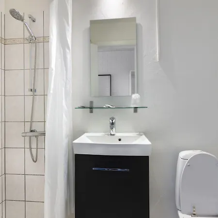 Dolphin Herning