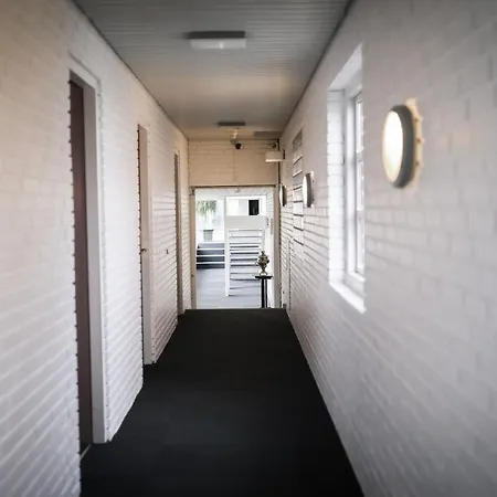 Hotel Dolphin 3*