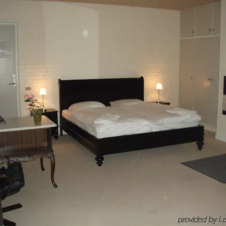 Dolphin Hotel Herning