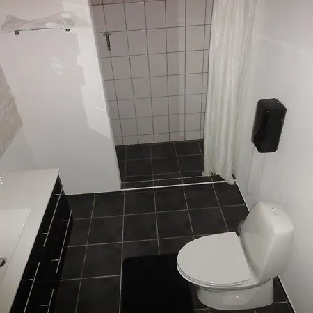 Dolphin Hotel Herning