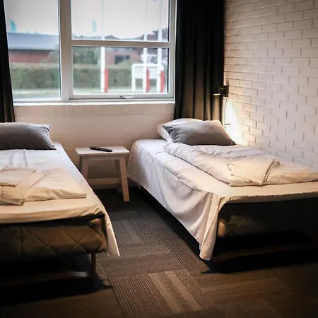 Dolphin Herning