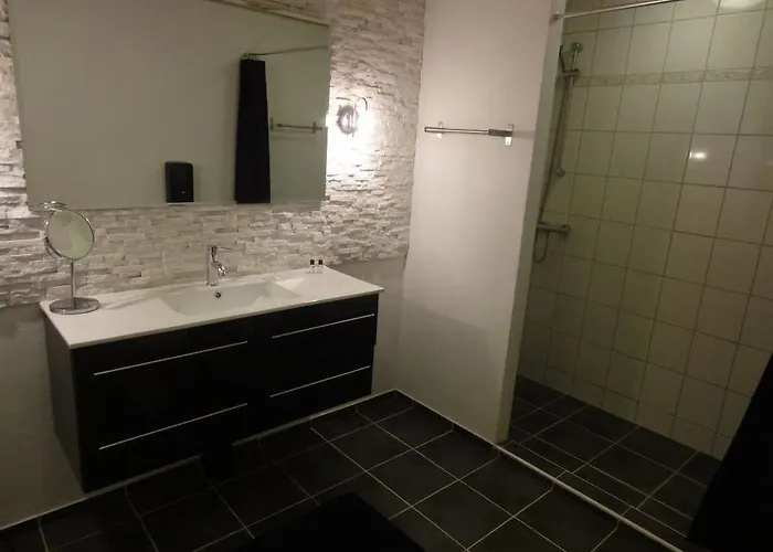 Hotel Dolphin Herning