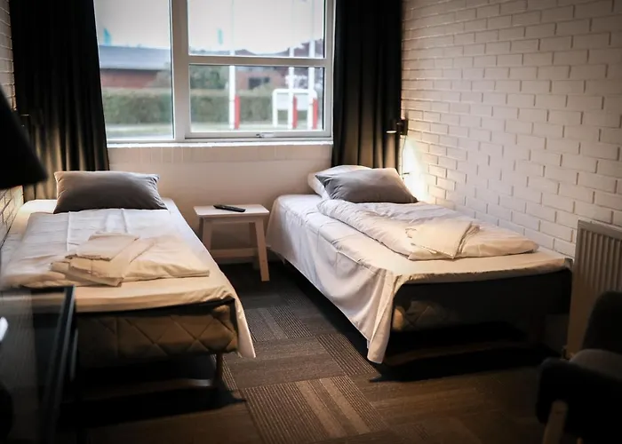 Dolphin Herning